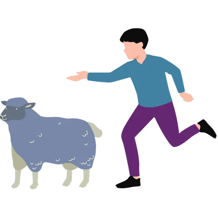 The Boy Is Running Towards The Sheep Illustration