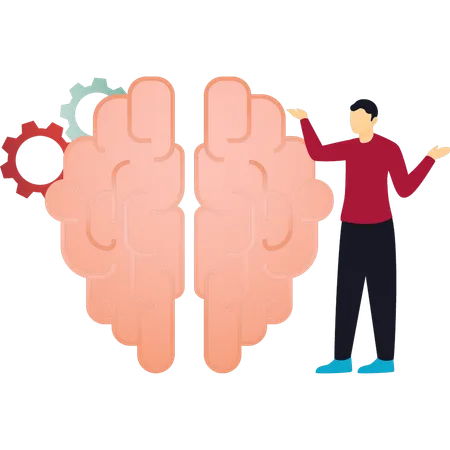 A Boy Is Showing A Brain Neurology Illustration