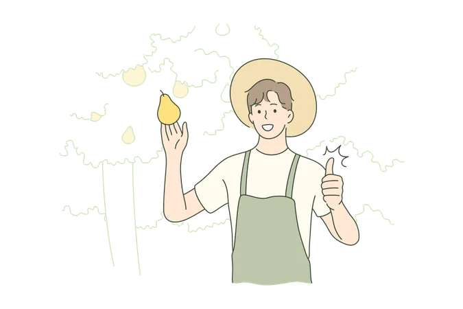 Harvesting Farming Agriculture Nature Concept Old Man Farmer Agricultural Worker Character Holding Fruit Pear Showing Like Sign Rural Countryside Lifestyle And Natural Food Gathering Illustration Illustration
