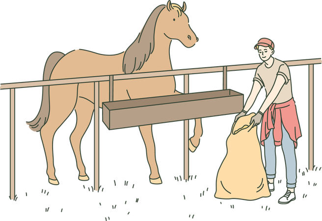 Boy is taking care of horse in stable  イラスト