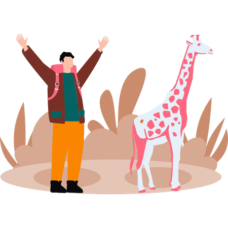 Boy is watching giraffe  Illustration