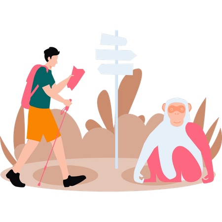 Boy is watching monkey and finding way  Illustration
