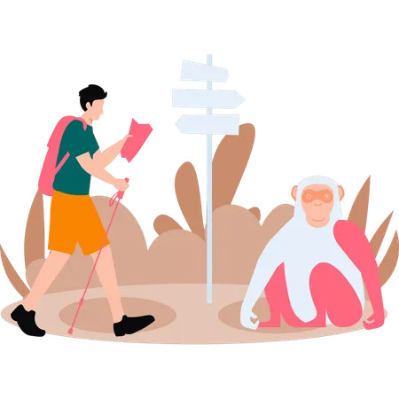 Boy is watching monkey and finding way  Illustration