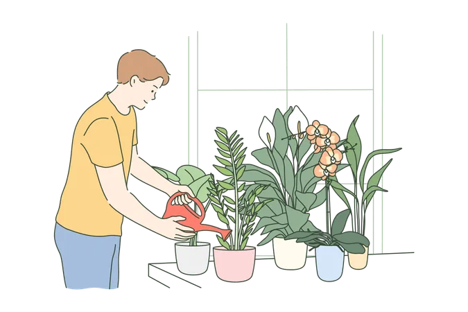Botanics Hobby Lifestyle Nature Care Work Concept Young Man Or Guy Cartoon Character Florist Pouring Houseplants Flowers With Watering Can Domestic Life Recreation And Floristics Occupation Illustration