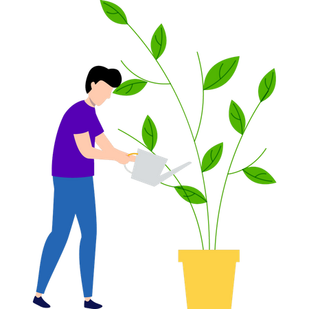 Boy is watering the plant Illustration