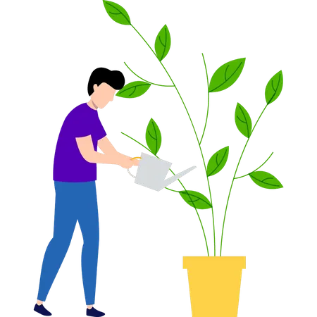 Boy is watering the plant  Illustration