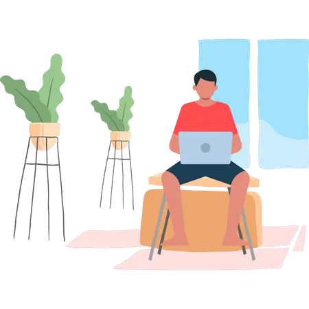 Boy is working from home  Illustration