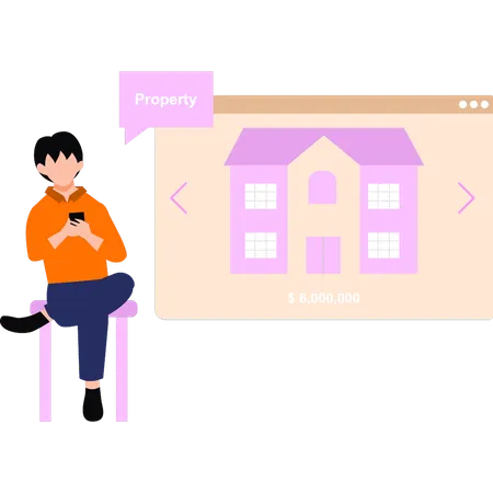 Boy looking at property online  Illustration