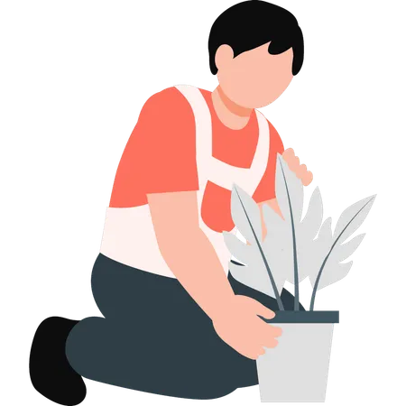 Boy planting plant  Illustration