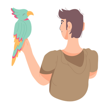 Boy playing with parrot  Illustration