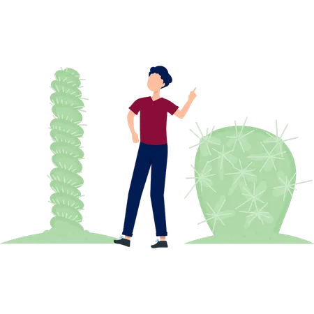 Boy pointing echinocactus plant  Illustration