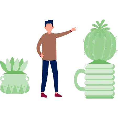 Boy  pointing gymnocalycium plant  Illustration