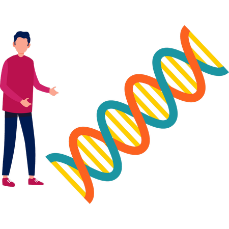 Boy presenting DNA  Illustration