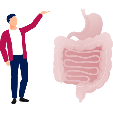Boy  presenting stomach area  Illustration