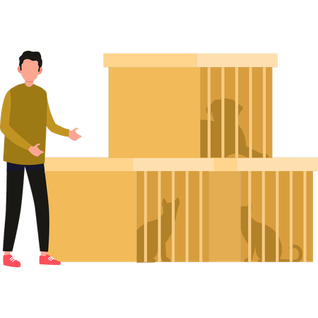 Boy showing cardboard animal cages  Illustration