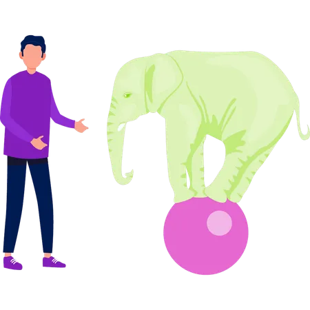 Boy showing elephant walking on football  Illustration