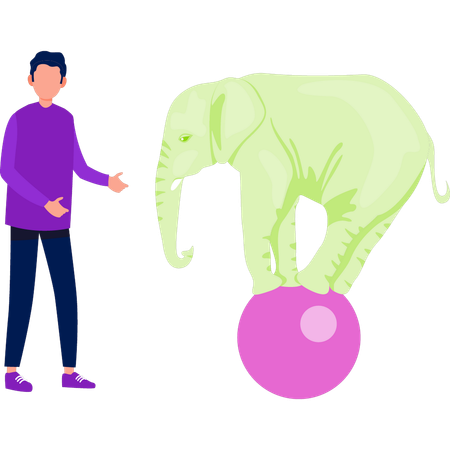 Boy showing elephant walking on football  Illustration