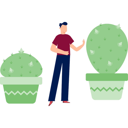 Boy  showing fer cactus tree  Illustration