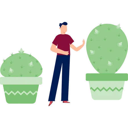 Boy  showing fer cactus tree  Illustration