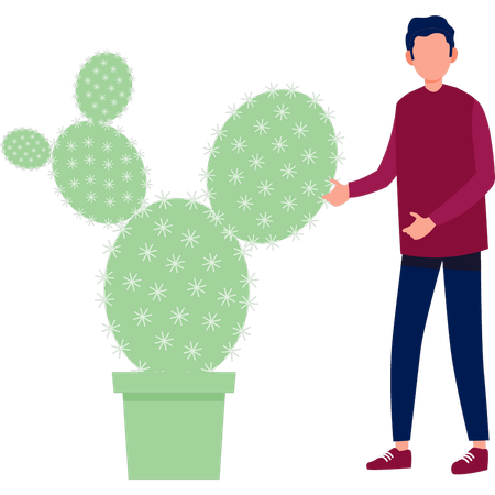 Boy showing Rebute cactus  Illustration