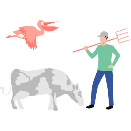 Boy standing front of cow with pitchfork  Illustration