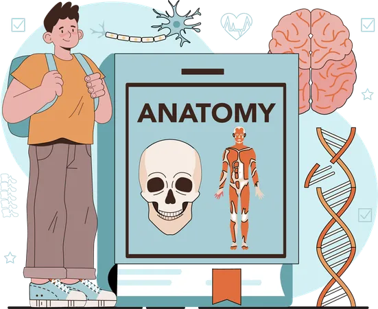Boy studying anatomy subject  Illustration