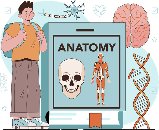 Boy studying anatomy subject  Ilustração