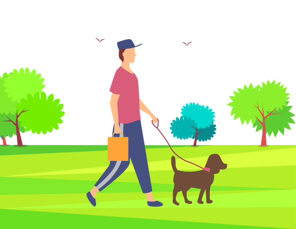 Boy takes his dog on walk  Illustration