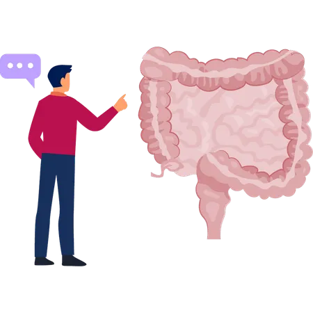 Boy  telling about colon  Illustration