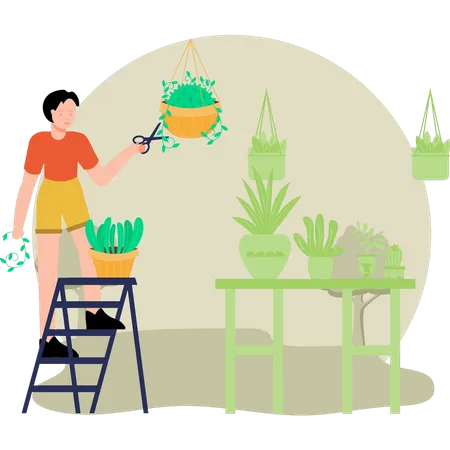 Boy trimming plants  Illustration