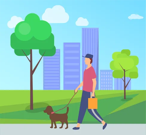 Person Wearing Casual Clothes And Cap Dog Domestic Animal With Lead Human Holding Package Vector City Park With Bench And Man Walking With Pet Illustration