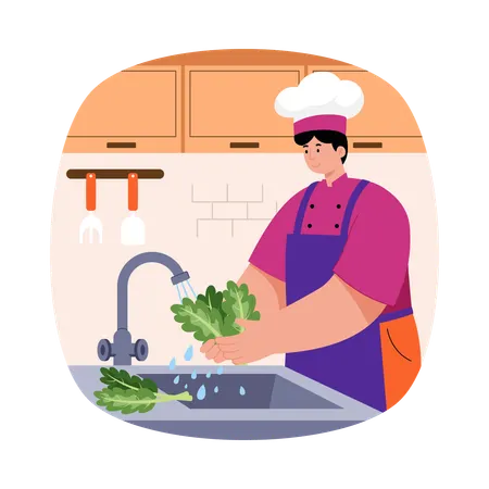 Boy washing Vegetables  Illustration