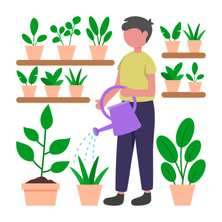 Boy watering Plant  Illustration