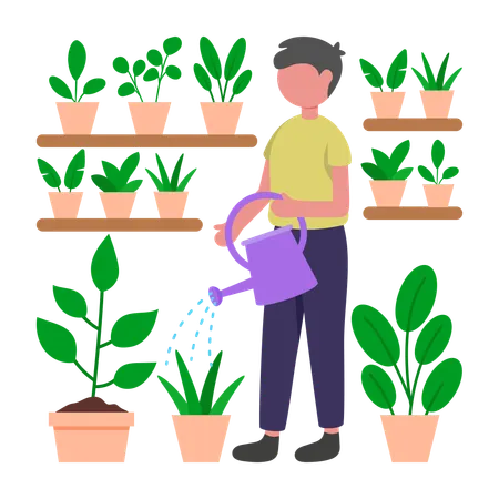 Boy watering Plant  Illustration