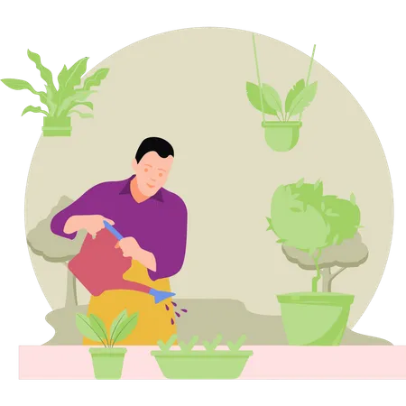 The Boy Is Watering The Plants Illustration