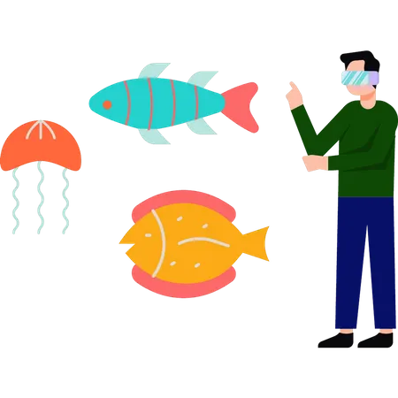 Boy wearing VR glasses watching sea animals  Illustration