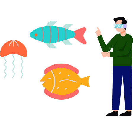 Boy wearing VR glasses watching sea animals  Illustration