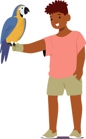 Boy with Colorful Parrot pet  일러스트레이션