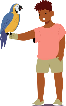 Joyful Child Boy Character With A Colorful Parrot Pet Sitting On Hand Creating A Delightful Bond They Share Playful Moments And A Genuine Friendship Cartoon People Vector Illustration Illustration