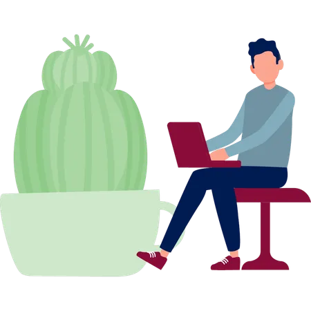 Boy working about Astrophyton cactus plant  Illustration