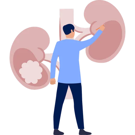 Boy  working on human lungs  Illustration