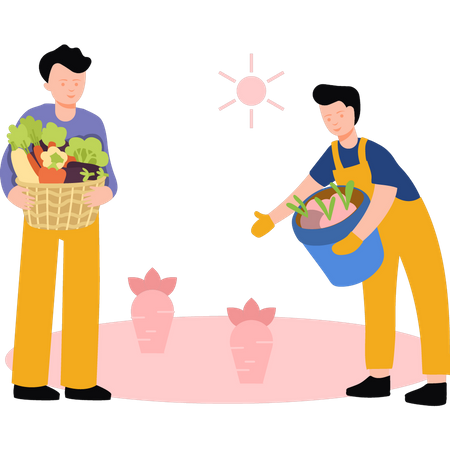 Boys picking vegetables from field Illustration