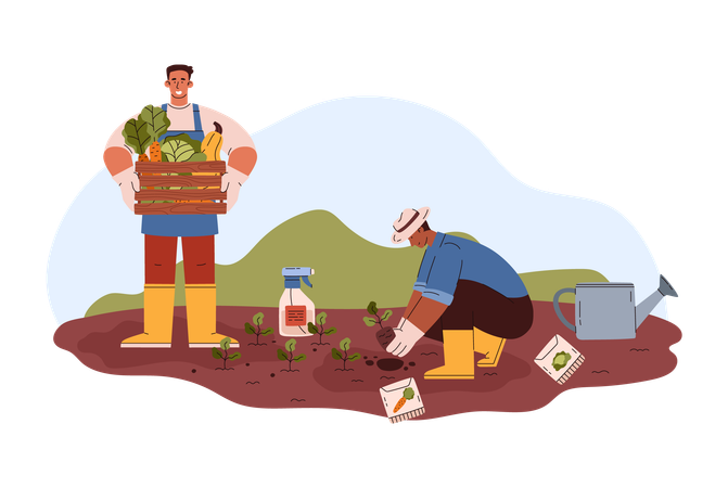 Lavoratori agricoli che raccolgono verdure  Illustration