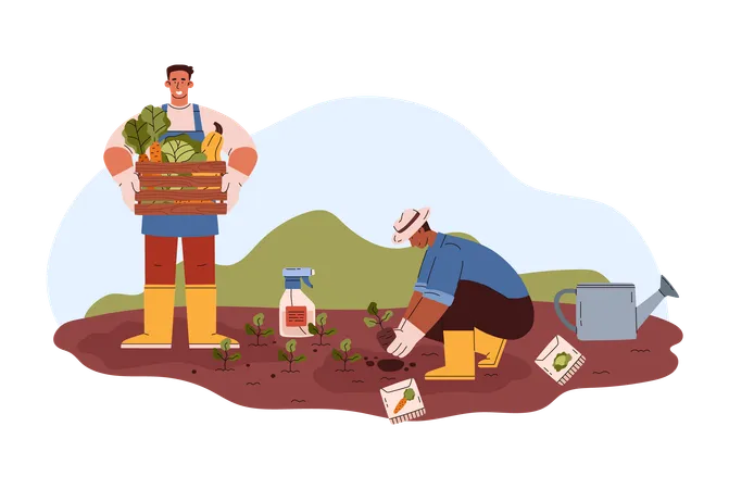 Lavoratori agricoli che raccolgono verdure  Illustration