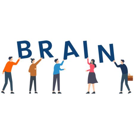 Brain  Illustration