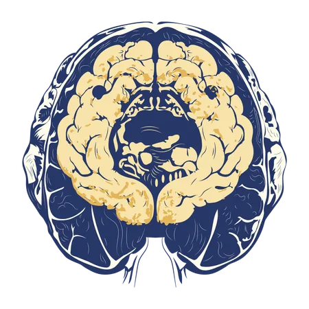 Brain Scan  Illustration