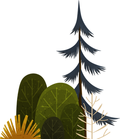 Branches forest plant  Illustration