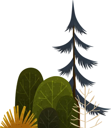 Green Simple Graphic Arts Tree And Bush Thin Brown Trunk And Branches Forest Plant Isolated On White Vector Illustration Of Big Spruce With Foliage Round Shape Landscape Element In Cartoon Concept Illustration