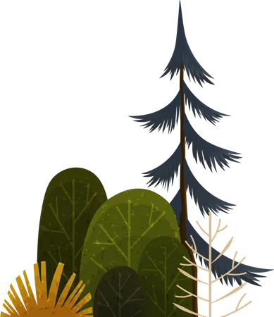 Branches forest plant  Illustration