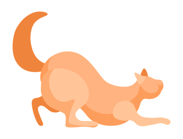 Braune Katze  Illustration